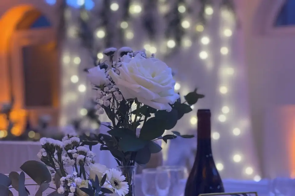 Blue Life Design — photo 6