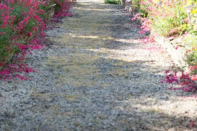 Les Jardins de Rospico — photo 2