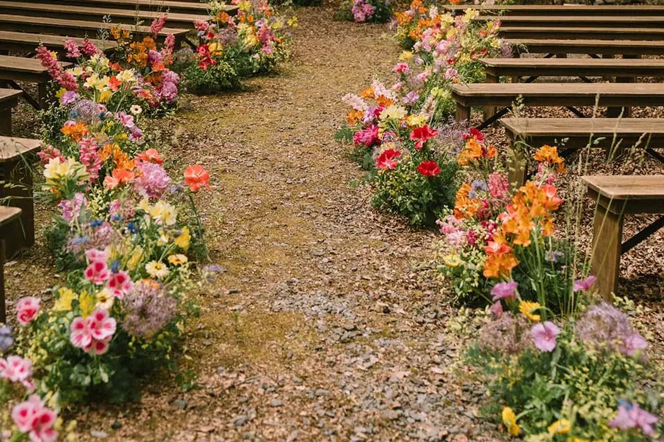 Studio Suzajo — photo 5