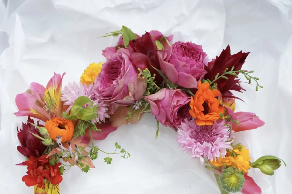 Studio Suzajo — photo 1