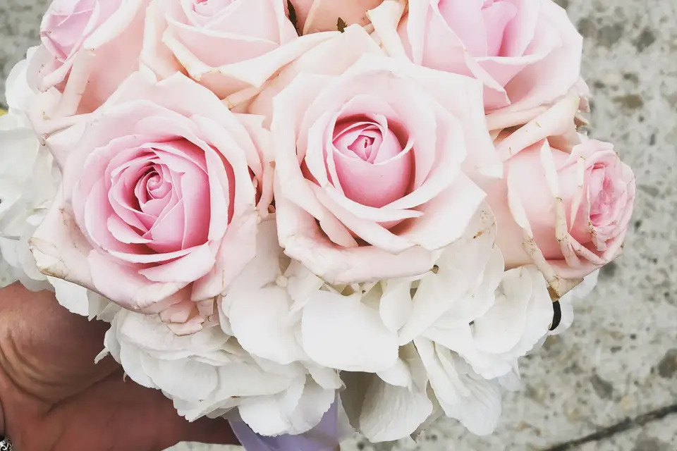 Au Coeur D'une Passion — photo 5