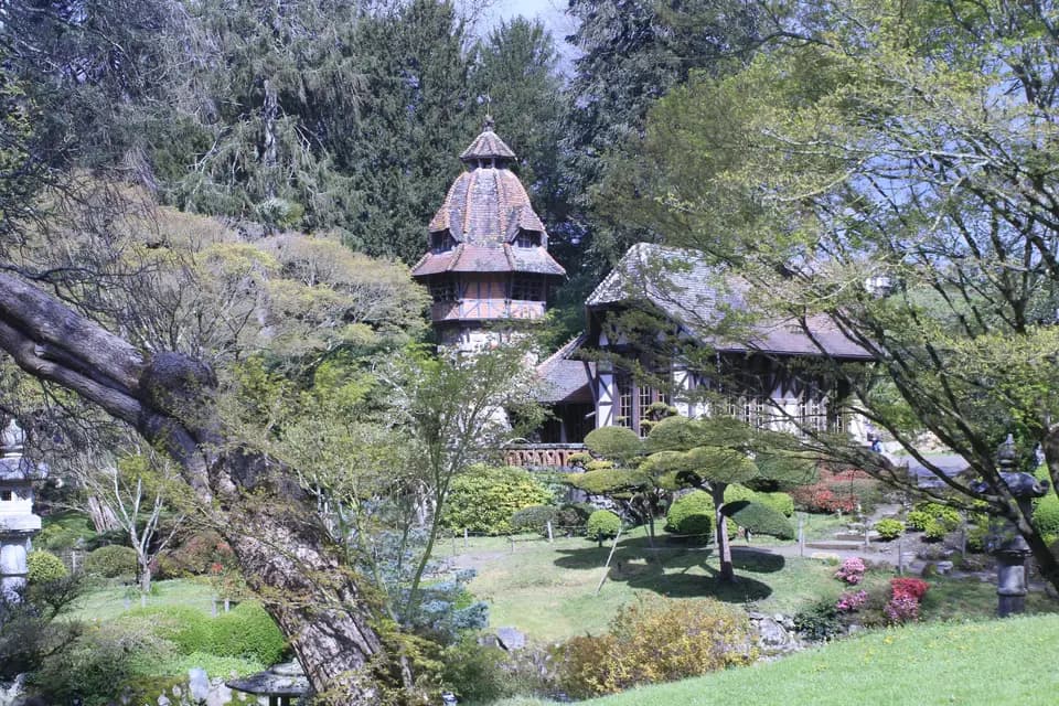 Time Colore — photo 6