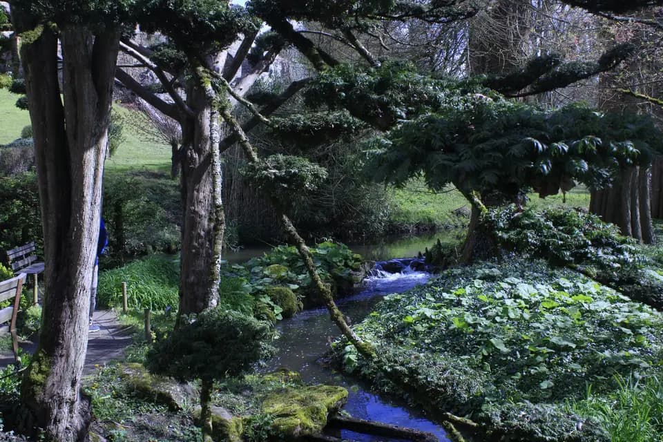 Time Colore — photo 7