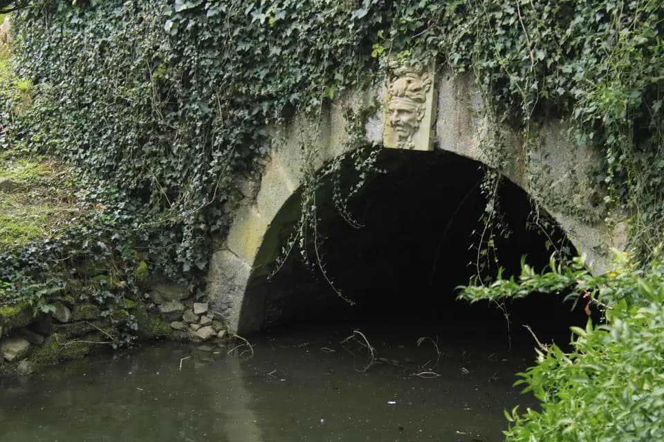 Time Colore — photo 8