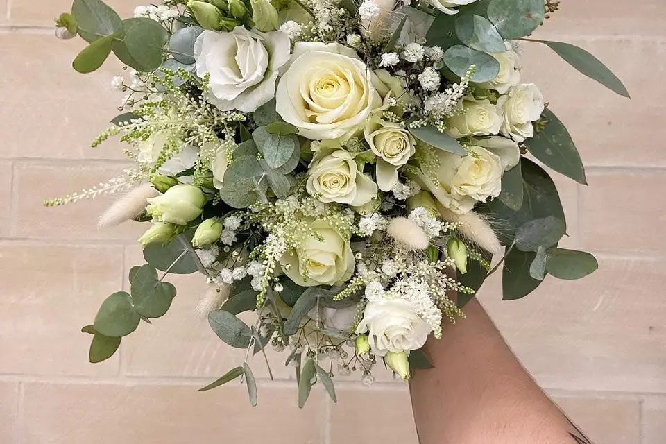 Belaflora — photo 2