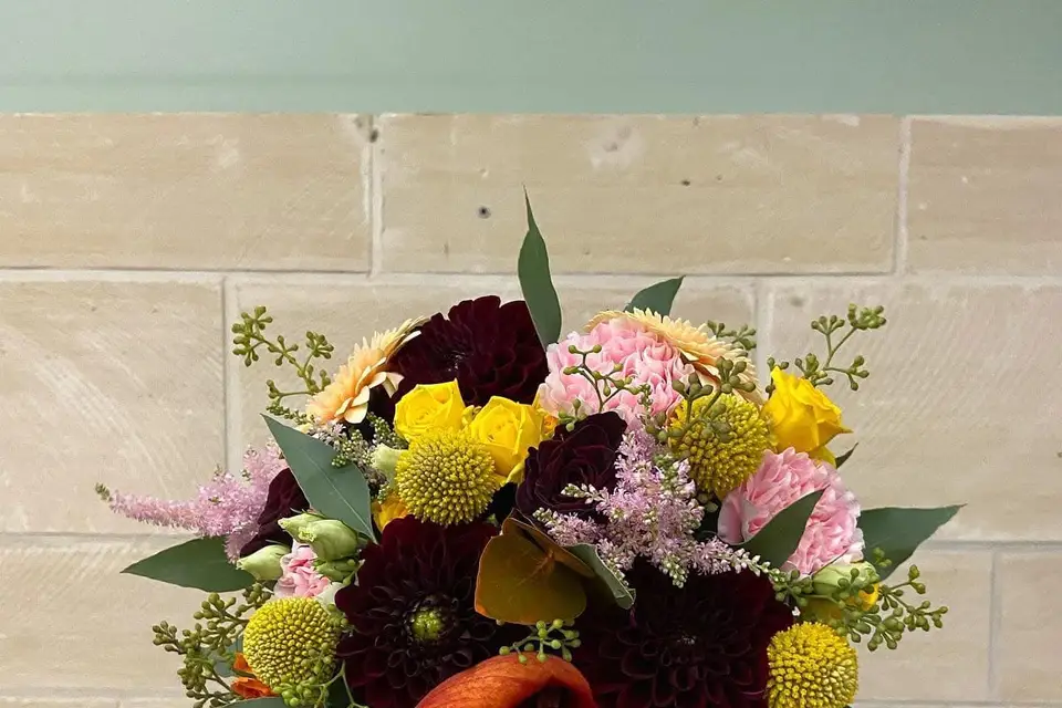 Belaflora — photo 6