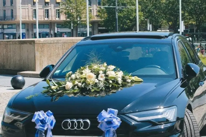 Belaflora — photo 7