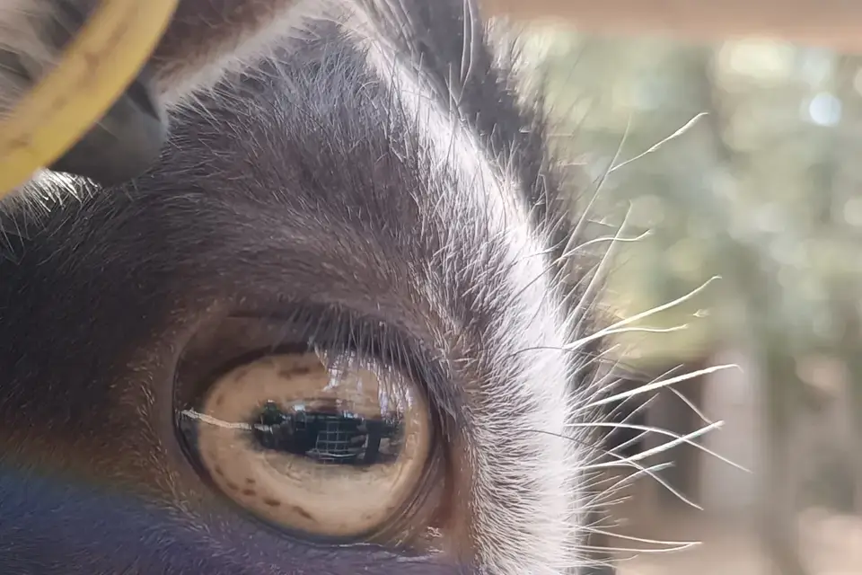 Time Colore — photo 2