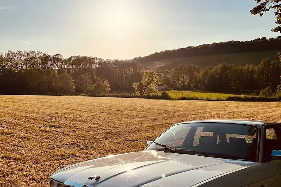 The Jags of Love — photo 4