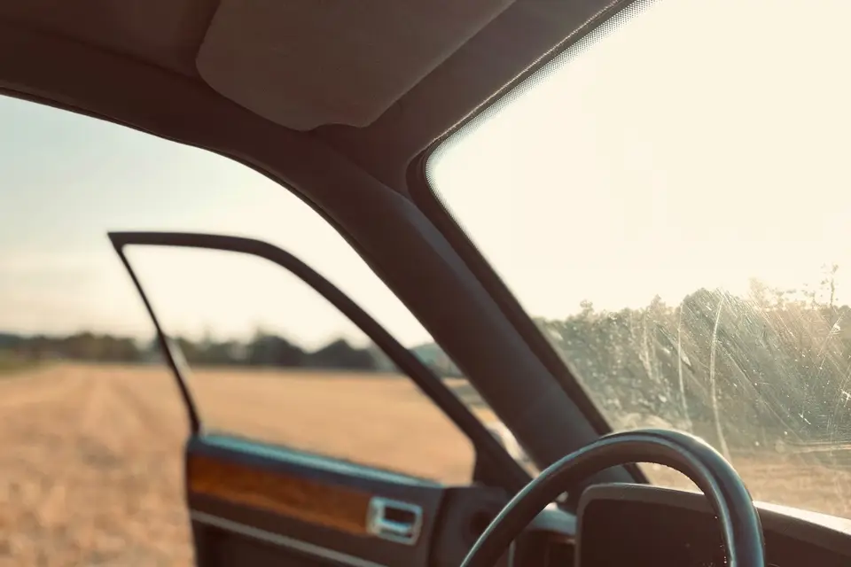 The Jags of Love — photo 3