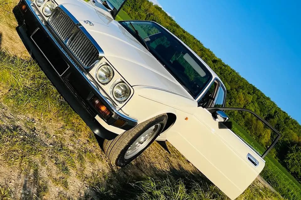 The Jags of Love — photo 6