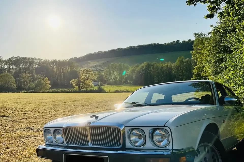 The Jags of Love — photo 1