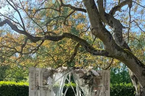 Selfienet — photo 3