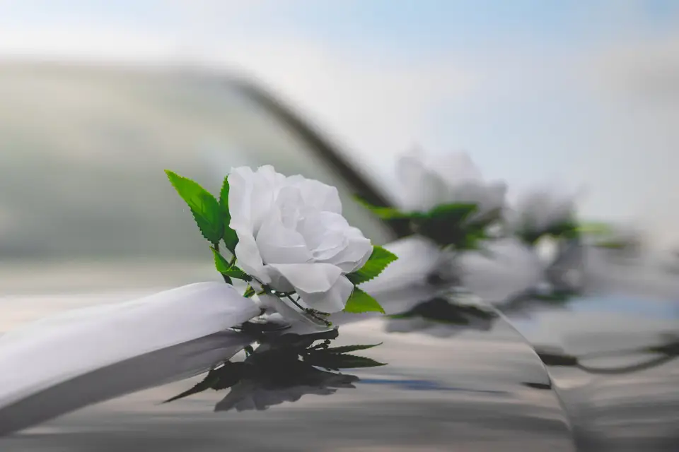 Studio Garcia-Vero — photo 3