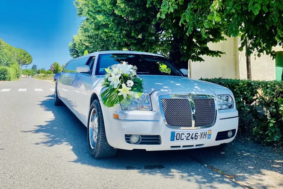 Montpellier Limousine — photo 3