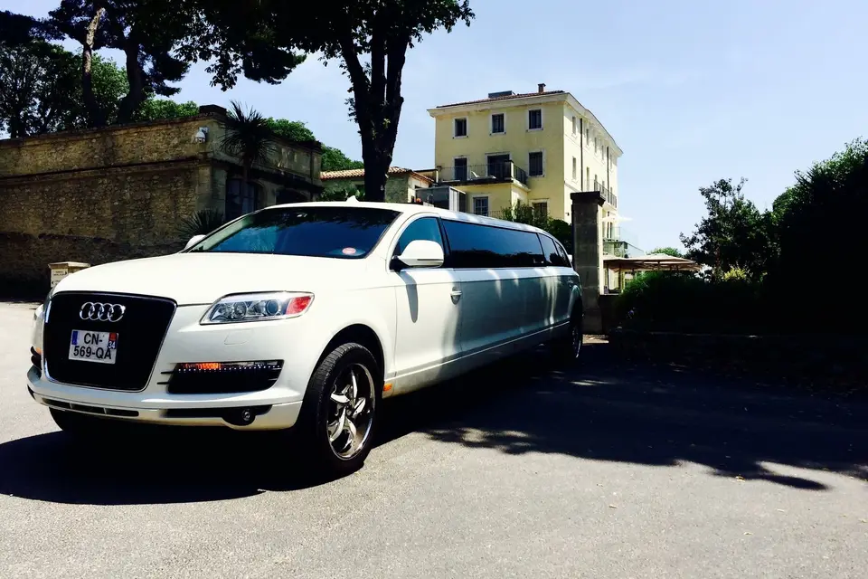 Montpellier Limousine — photo 4