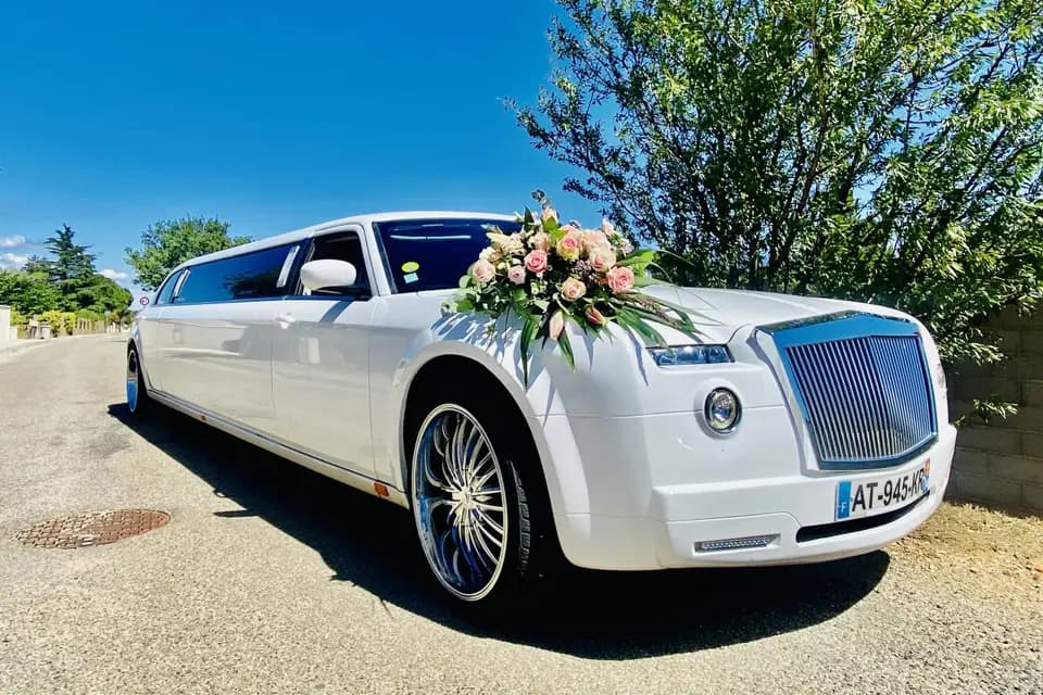 Montpellier Limousine — photo 7