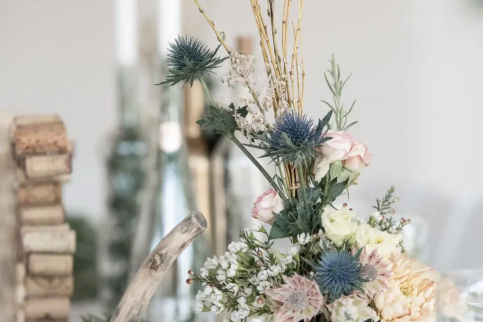 Influence Végétale — photo 6