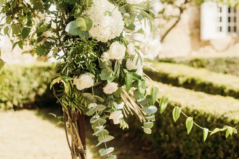 Influence Végétale — photo 7