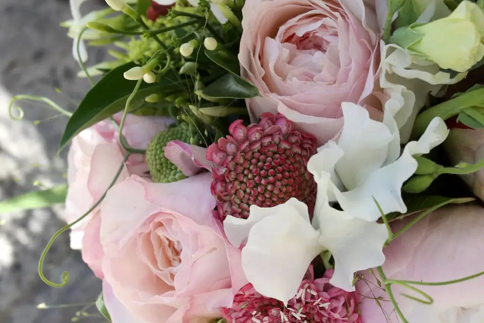 Atelier après la Pluie — photo 6