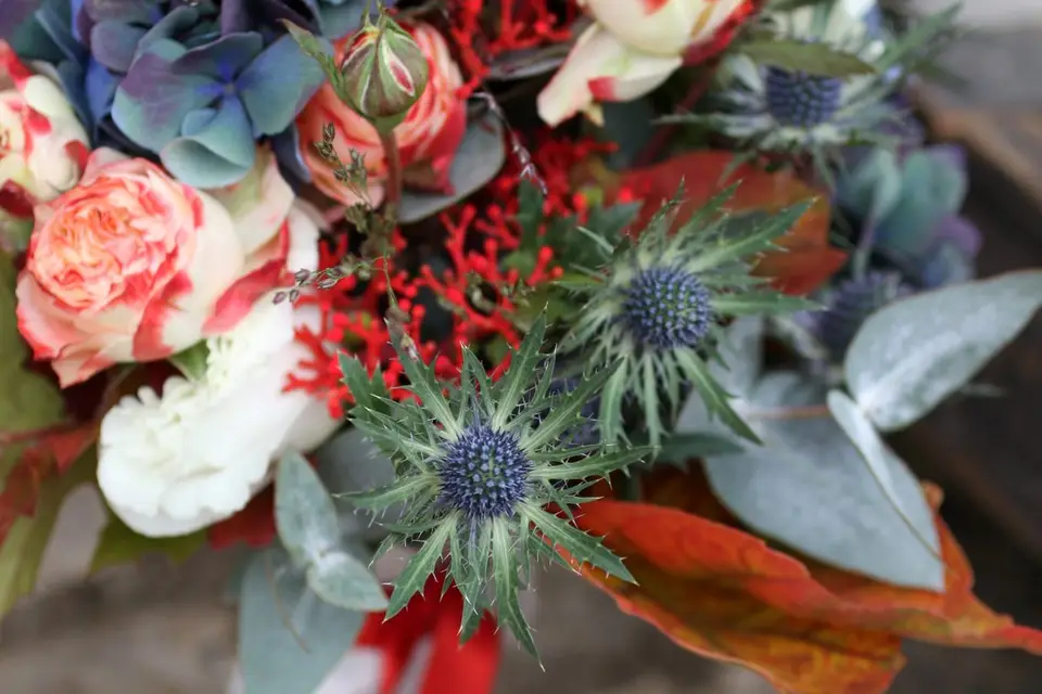 Atelier après la Pluie — photo 7