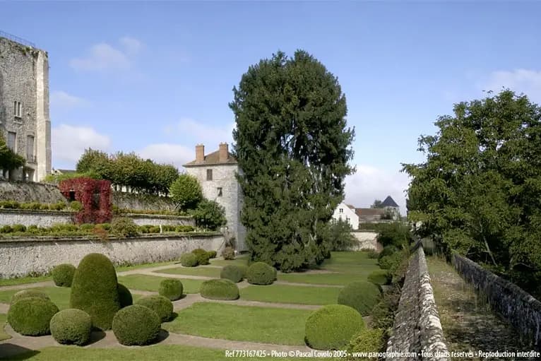 Donjon de Moret sur Loing — photo 1