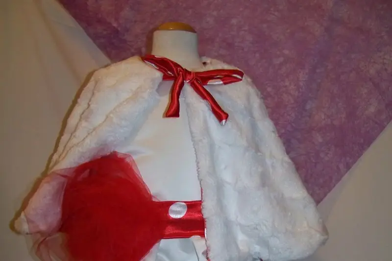 Les petites Ailes - Cortège — photo 4