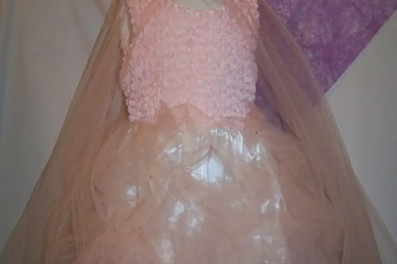 Les petites Ailes - Cortège — photo 2