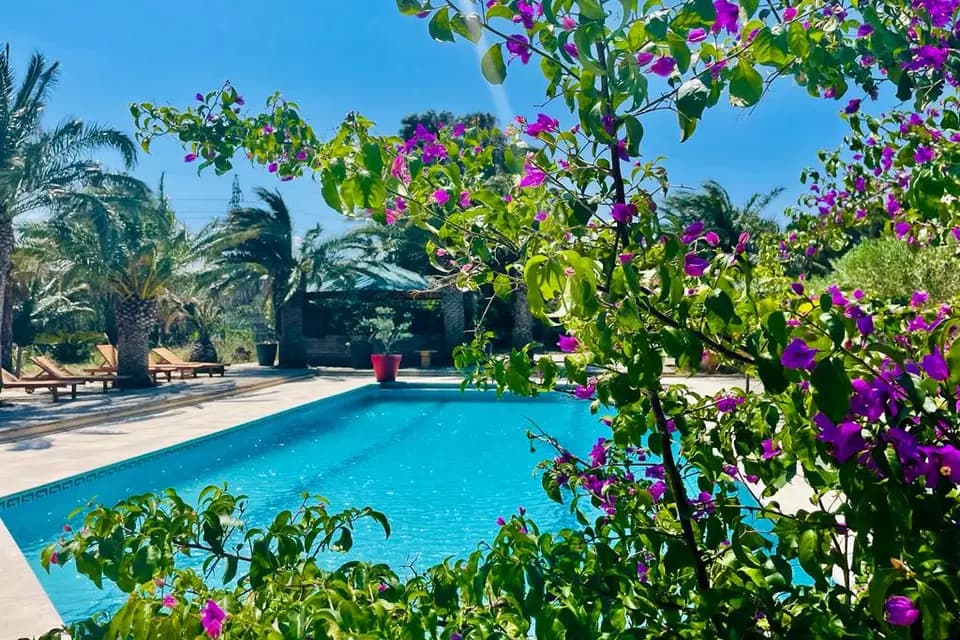 Tropic Hôtel — photo 4