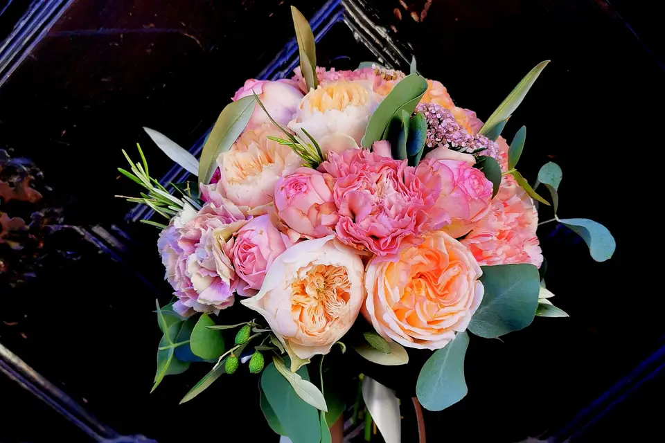 Alexandre Fourgeau Piquand — photo 4