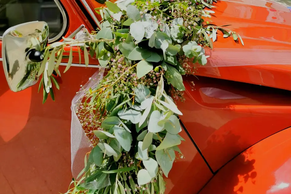 Alexandre Fourgeau Piquand — photo 8