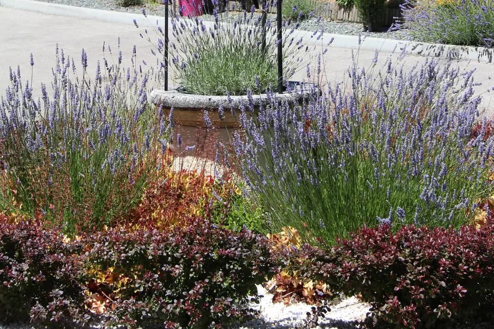 Château des Loges — photo 5