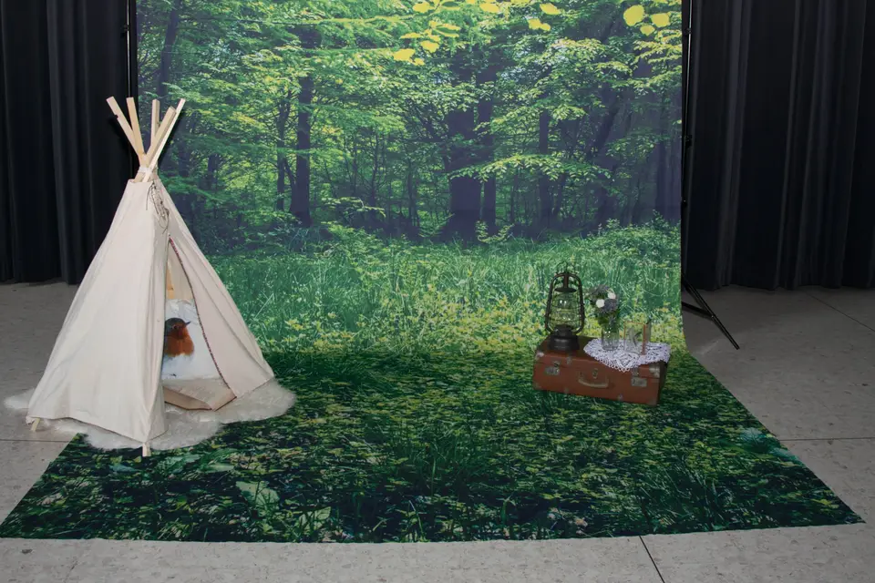 Jeux Décors — photo 7