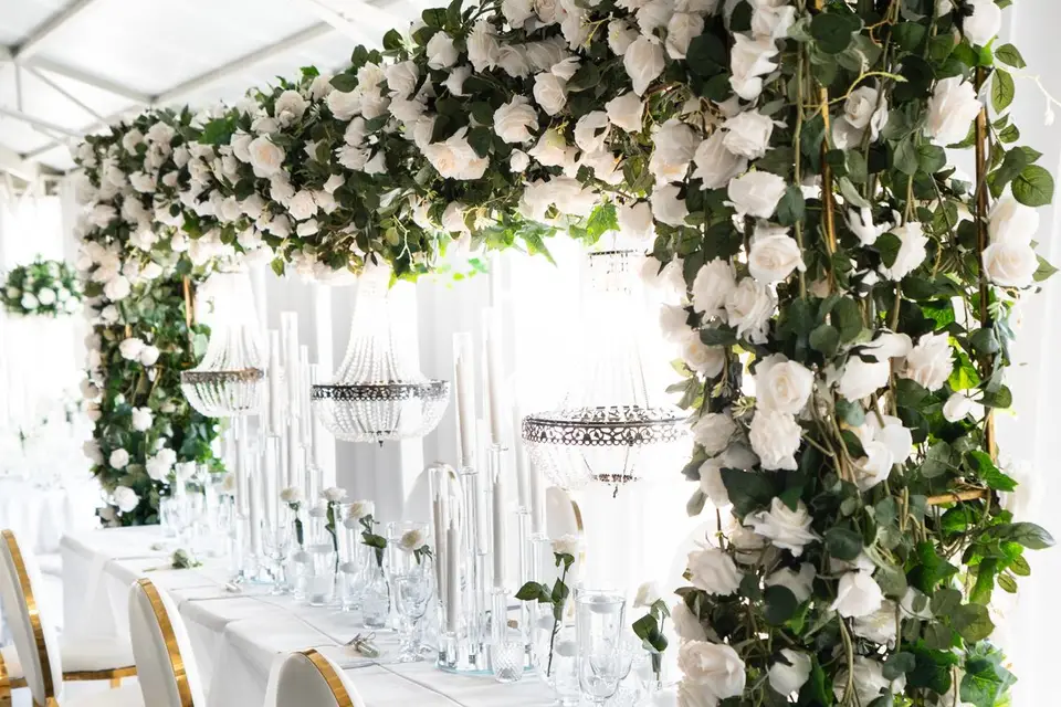 Reebsa Production — photo 4