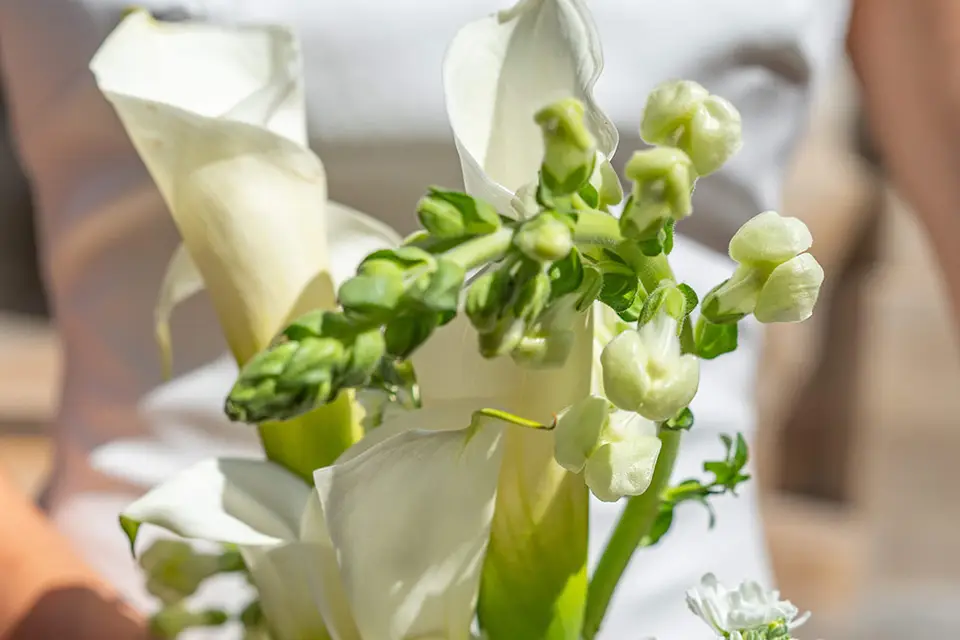 Clair Agence — photo 6