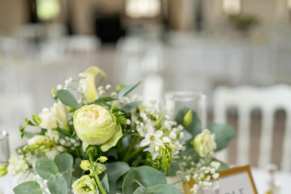 Clair Agence — photo 2