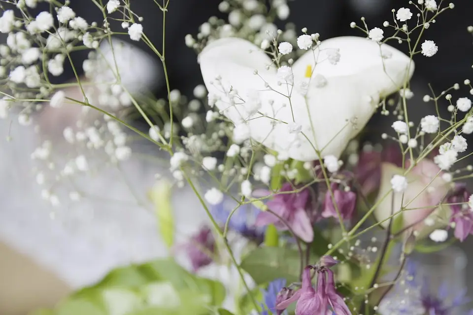 Fabien Le Goas — photo 3