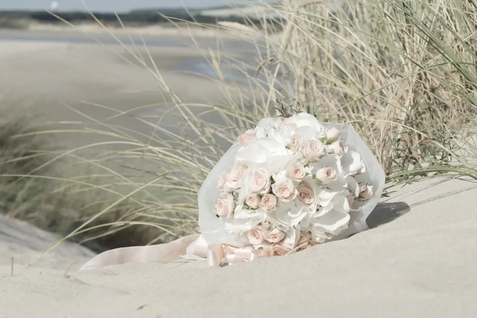 Fabien Le Goas — photo 2