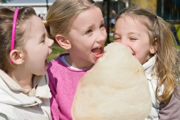 Puy-de-Dôme Loisirs Locations Evènements — photo 8