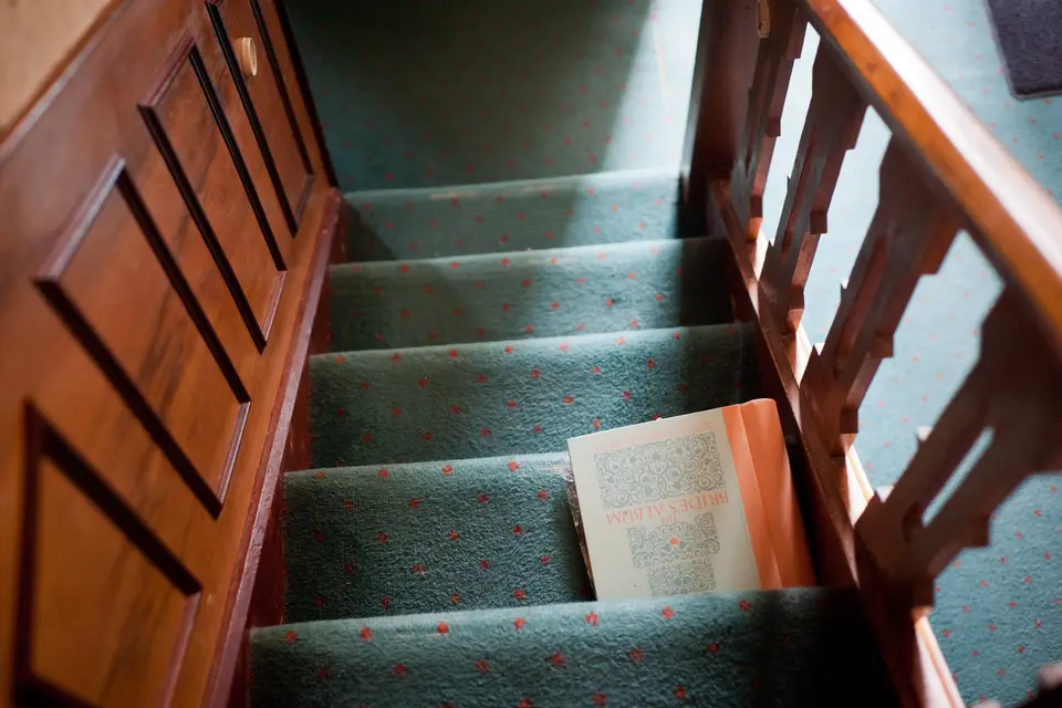 Typhanie Piton — photo 2