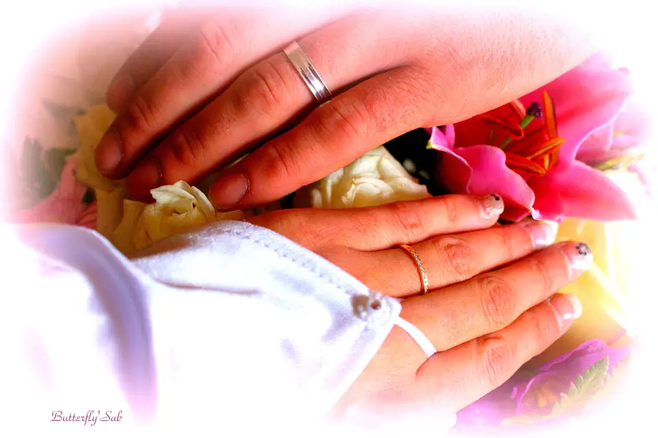 Butterfly Sab — photo 8