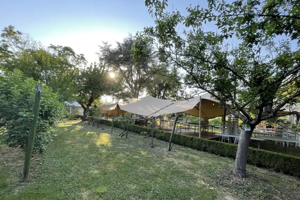 Thouron reception — photo 6