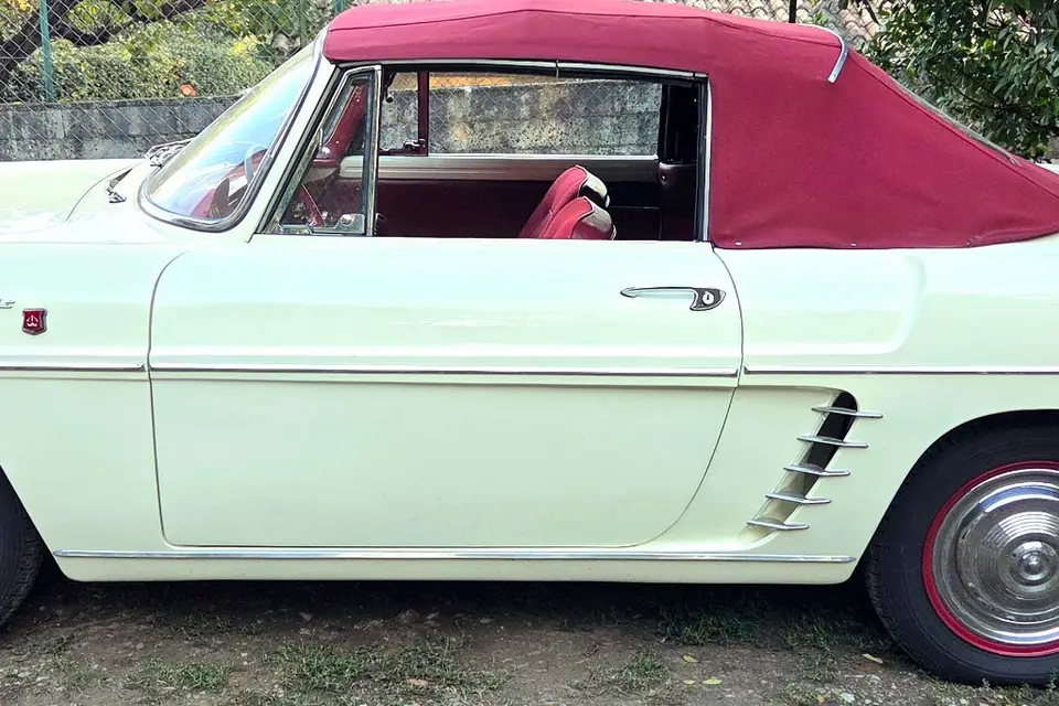 Noce en Floride — photo 3