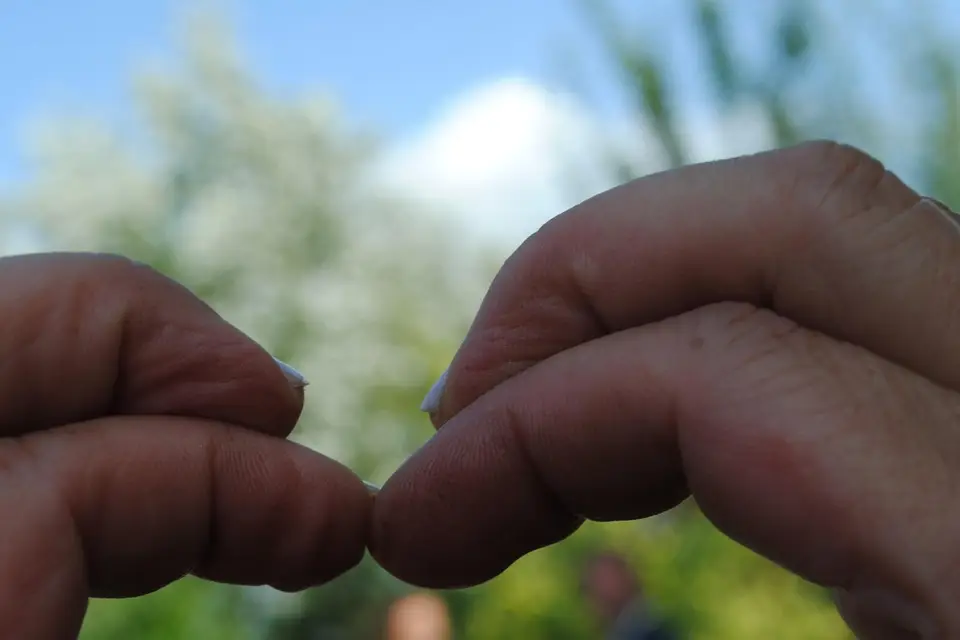 Les Champs Vienne — photo 2