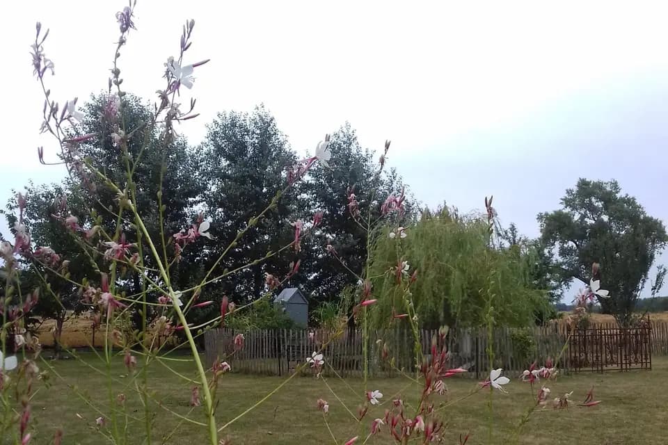 Les Champs Vienne — photo 6