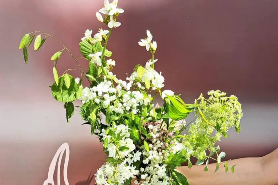 O2 Lianes — photo 5