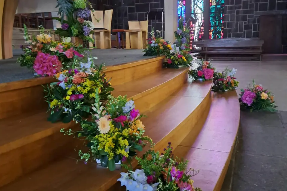 O2 Lianes — photo 6