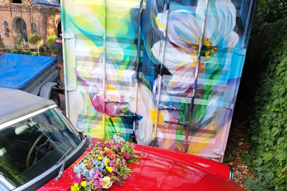 O2 Lianes — photo 4