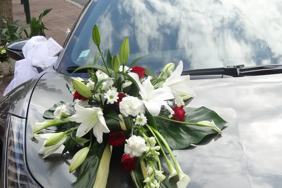 Fleuriste Corinne Delforge — photo 7