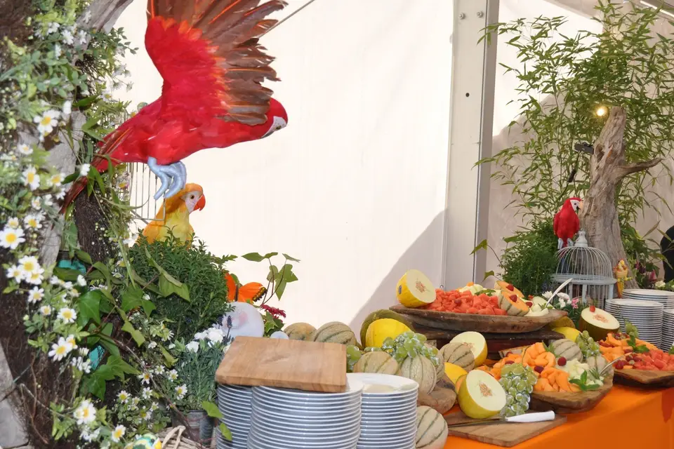 Beltoise et Clamens — photo 5